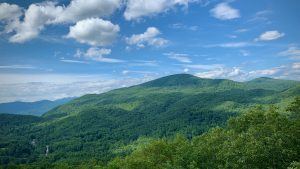 Hiking amongst the trees in the mountains of the North Carolina Smokey Mountains in Appalachia - Wildcat Rock, Gerton